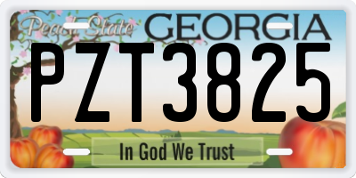 GA license plate PZT3825
