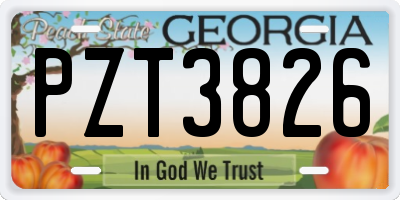 GA license plate PZT3826