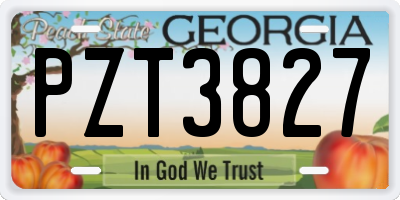GA license plate PZT3827