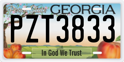 GA license plate PZT3833