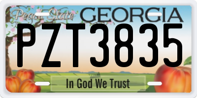 GA license plate PZT3835