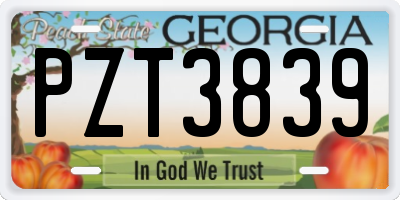 GA license plate PZT3839