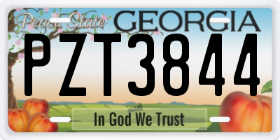 GA license plate PZT3844