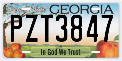 GA license plate PZT3847
