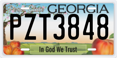 GA license plate PZT3848