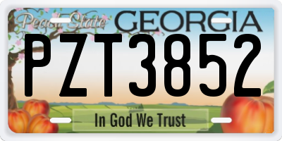 GA license plate PZT3852