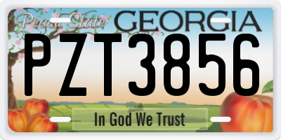 GA license plate PZT3856