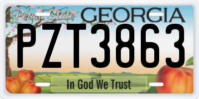GA license plate PZT3863