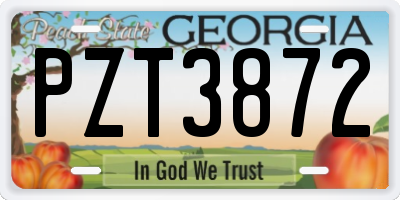 GA license plate PZT3872