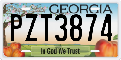 GA license plate PZT3874