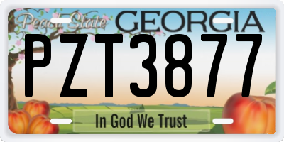 GA license plate PZT3877