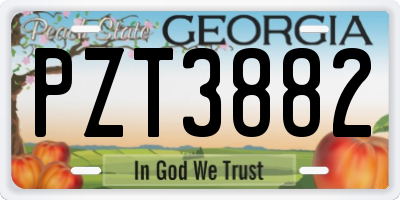GA license plate PZT3882