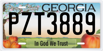 GA license plate PZT3889