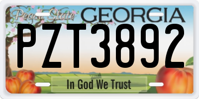 GA license plate PZT3892