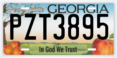 GA license plate PZT3895