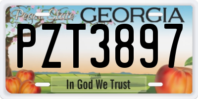 GA license plate PZT3897