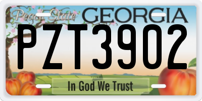 GA license plate PZT3902