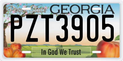 GA license plate PZT3905