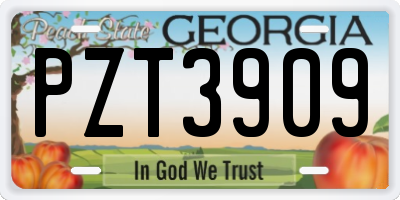 GA license plate PZT3909
