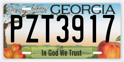 GA license plate PZT3917