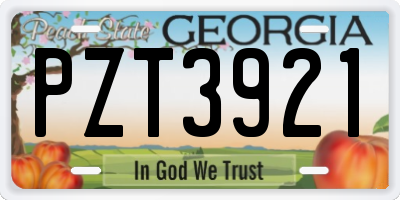 GA license plate PZT3921