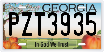 GA license plate PZT3935