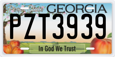 GA license plate PZT3939