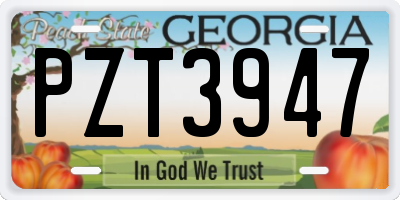 GA license plate PZT3947