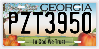 GA license plate PZT3950