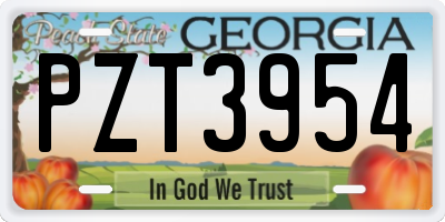 GA license plate PZT3954