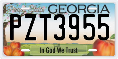 GA license plate PZT3955