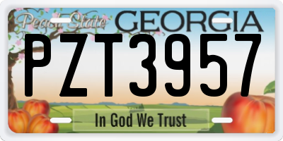 GA license plate PZT3957