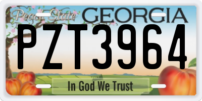 GA license plate PZT3964