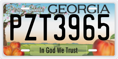 GA license plate PZT3965
