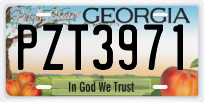 GA license plate PZT3971
