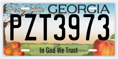 GA license plate PZT3973