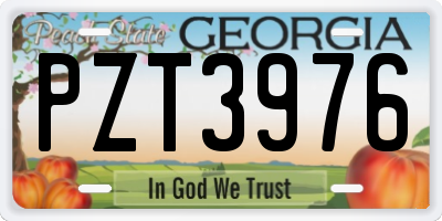 GA license plate PZT3976
