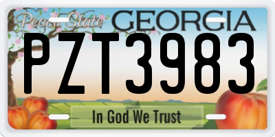 GA license plate PZT3983