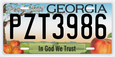 GA license plate PZT3986