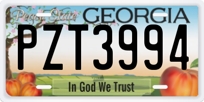 GA license plate PZT3994
