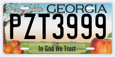 GA license plate PZT3999