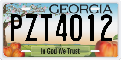 GA license plate PZT4012