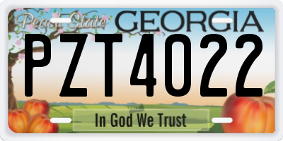 GA license plate PZT4022