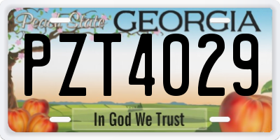 GA license plate PZT4029