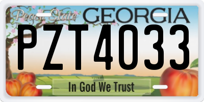 GA license plate PZT4033
