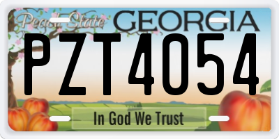 GA license plate PZT4054