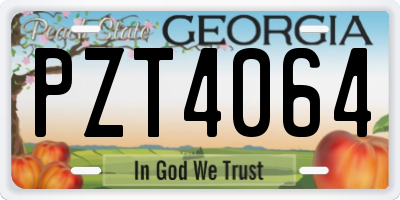 GA license plate PZT4064