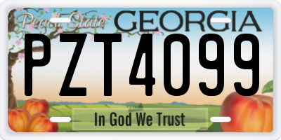 GA license plate PZT4099