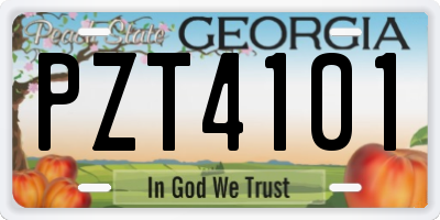 GA license plate PZT4101