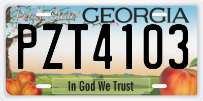 GA license plate PZT4103